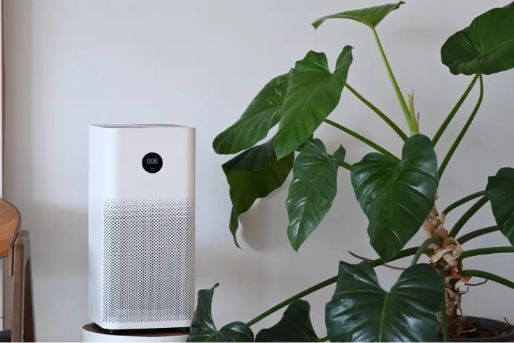 Best air purifier in India